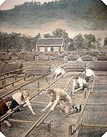 Female workers at the Camp Parsons nursery in the years after the termination of the CCC program at Camp Parsons.  The The The building in the background is one of the CCC camp buildings which was used as a packing shed by the nursery folks.  This building stood until just a few years ago.